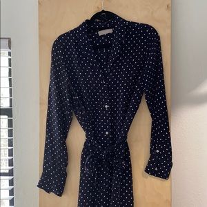 Everlane Polka Dot Navy Dress